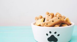 Je eigen hondensnacks maken