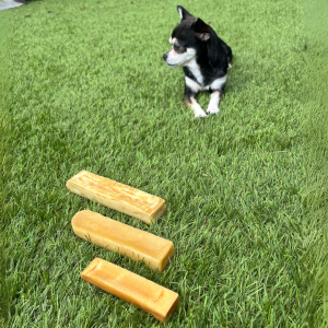 Wat mag een hond eten
