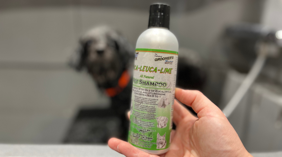 Euca leuca lime vlooienshampoo