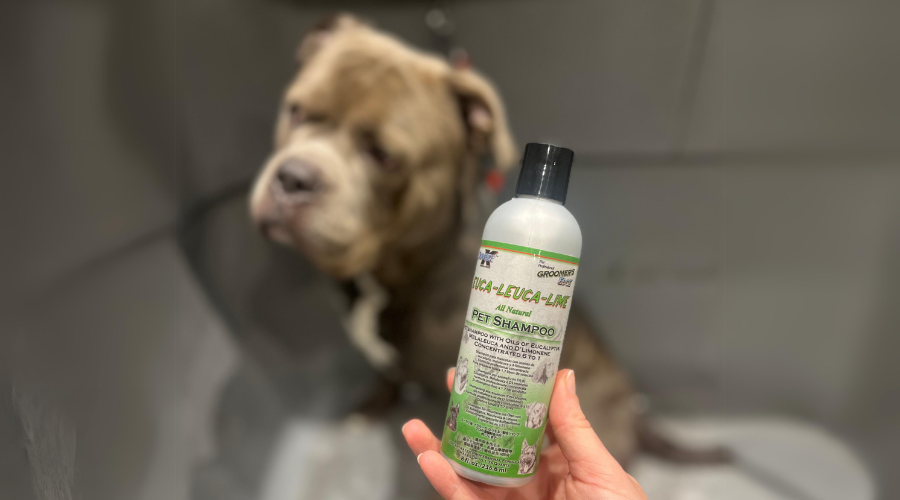 Euca leuca lime vlooienshampoo