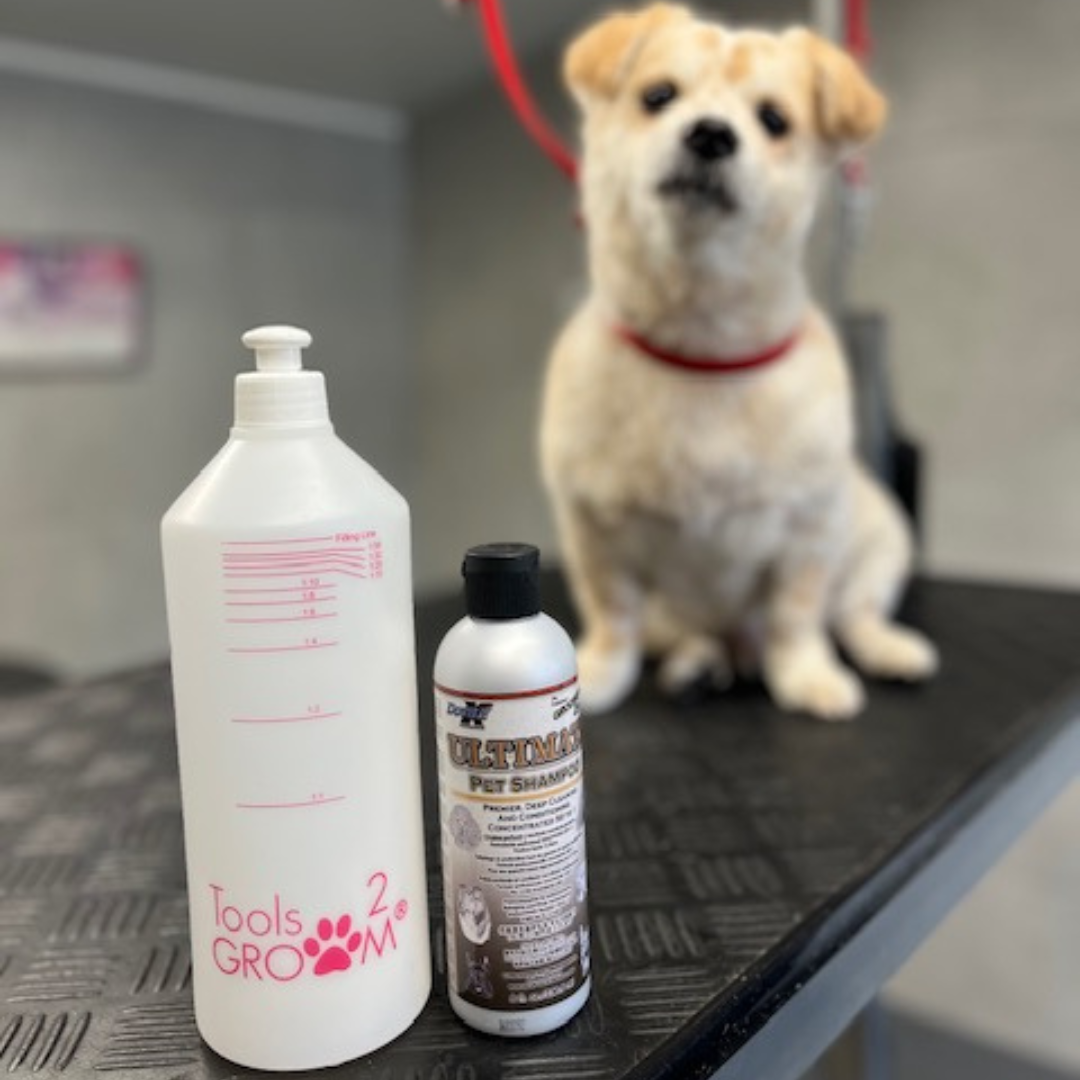 Thuis je hond wassen, hoe doe je dit?