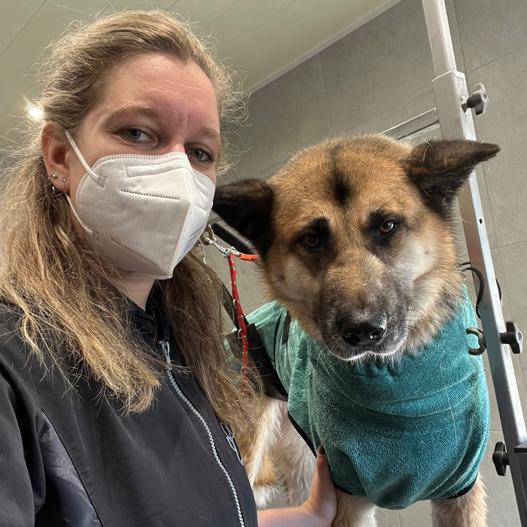 Waarom je hond wassen?
