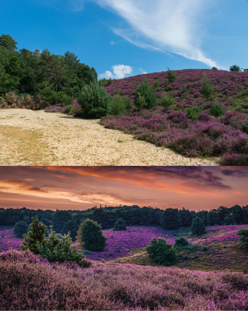 De posbank (veluwezoom, Gelderland)