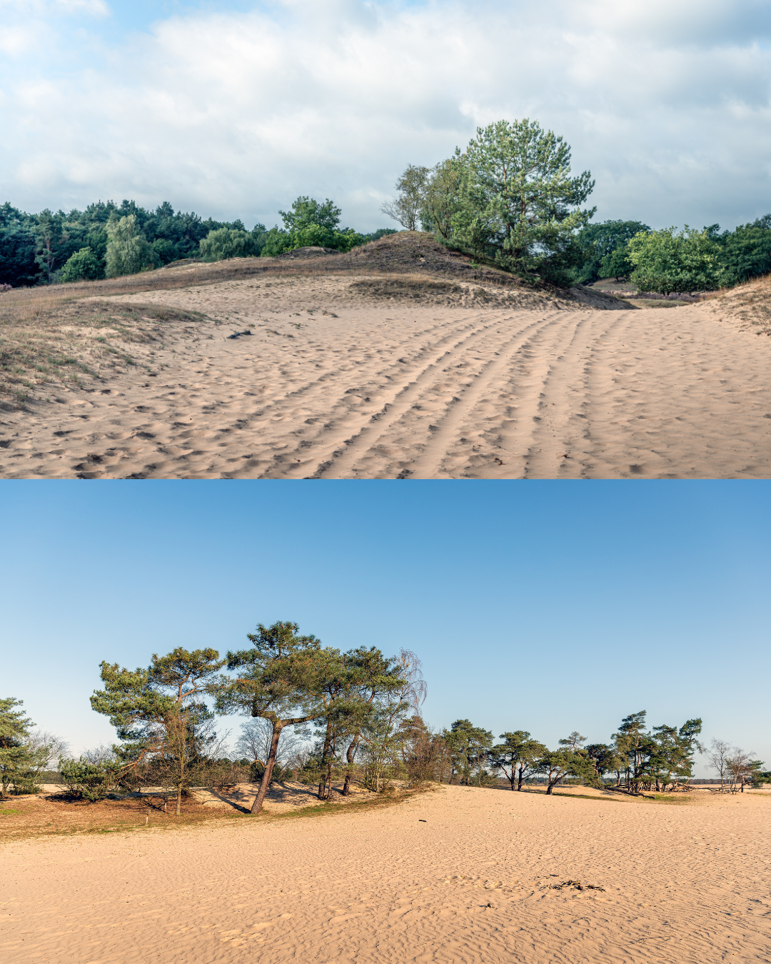 Nationaal park De Loonse en Drunense duinen