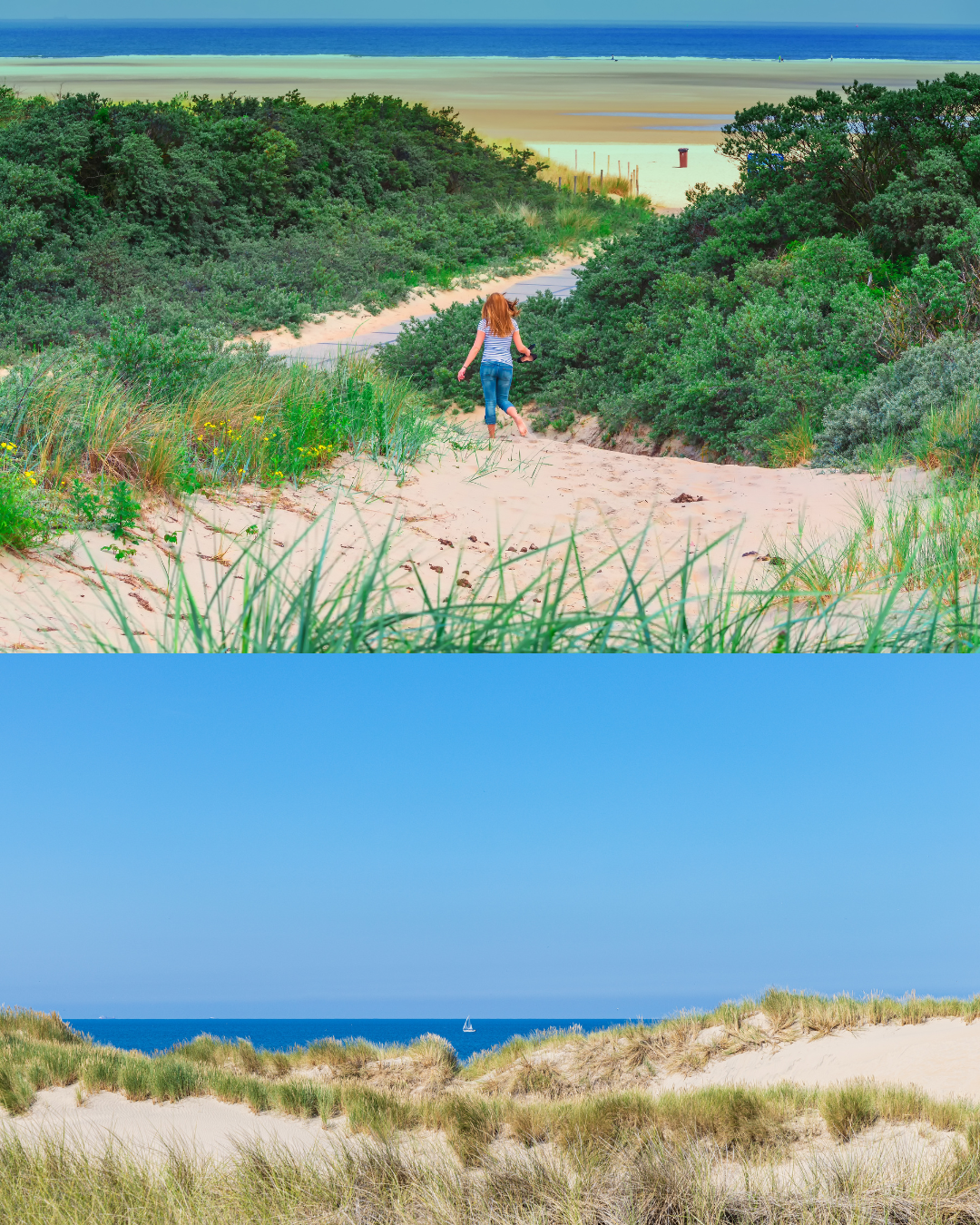De kennemerduinen (Noord-Holland)
