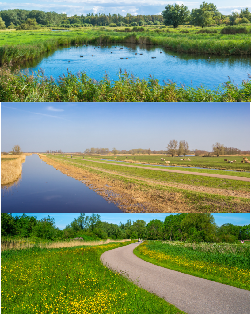 Het Twiske (Noord-Holland)