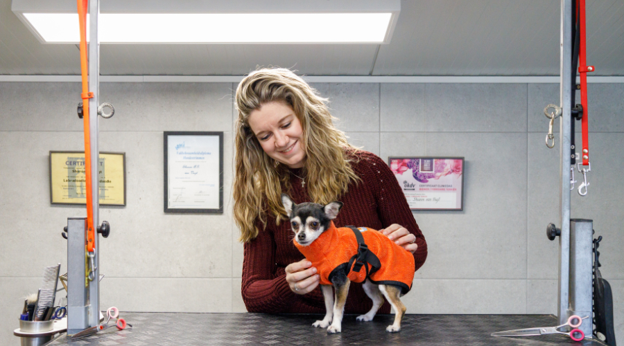 Wat voor hond past bij mij