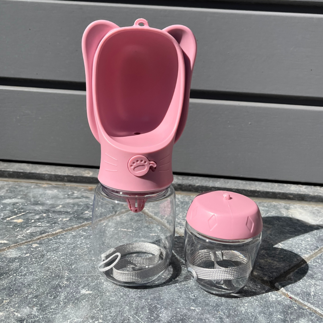 Op pad met je hond: 7 musthaves voor een zomerse wandeling