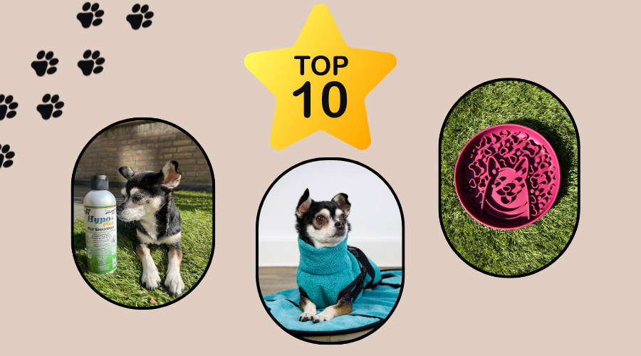 Top 10 populairste huisdierproducten van deze maand