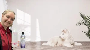 Witte hond
