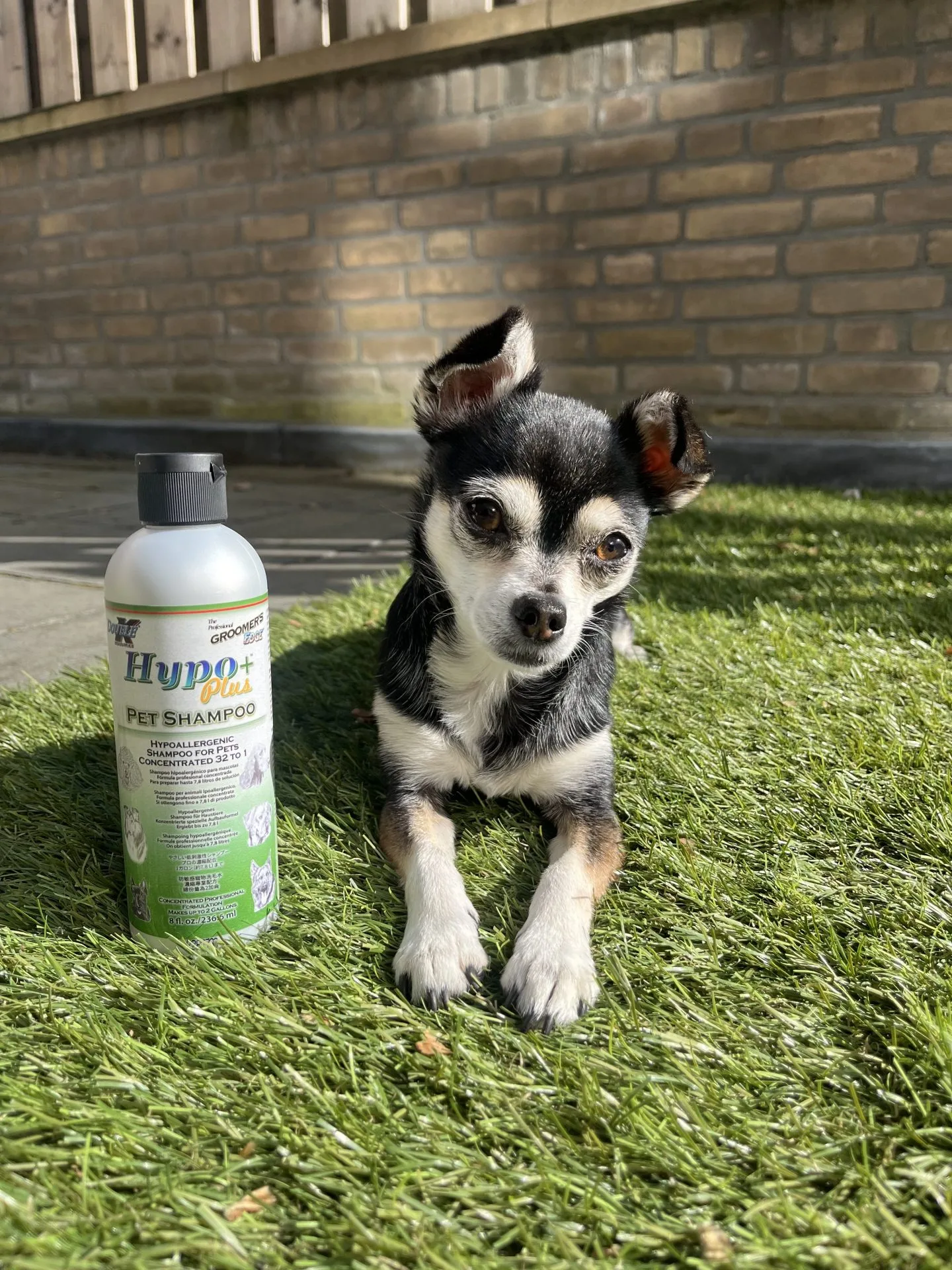 Double K Hypo+ Shampoo