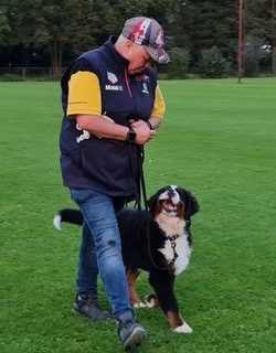 Je hond trainen
